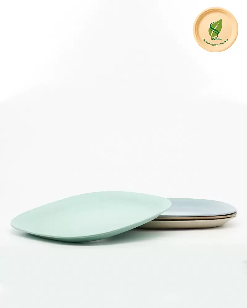 Eco Square Meal Plate Small - Image 3